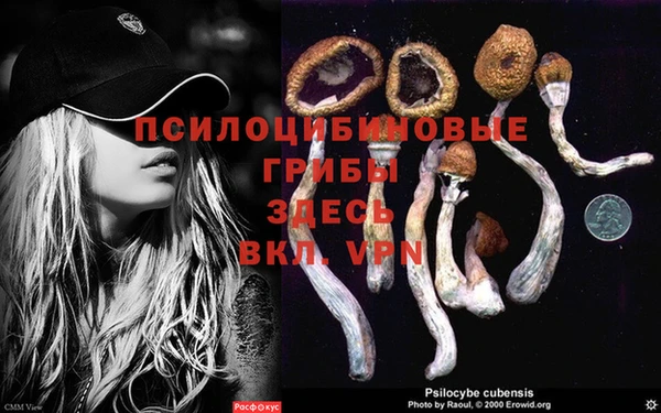 скорость Аркадак