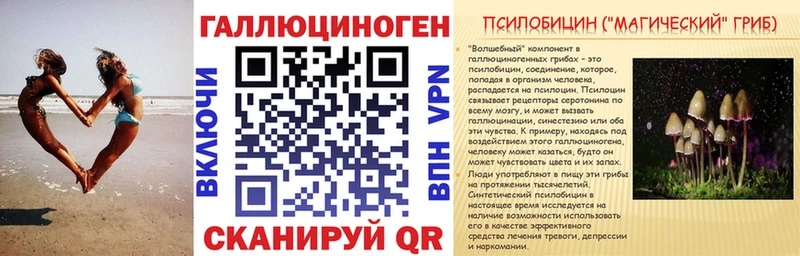 Галлюциногенные грибы Psilocybine cubensis  где купить наркотик  Сортавала 